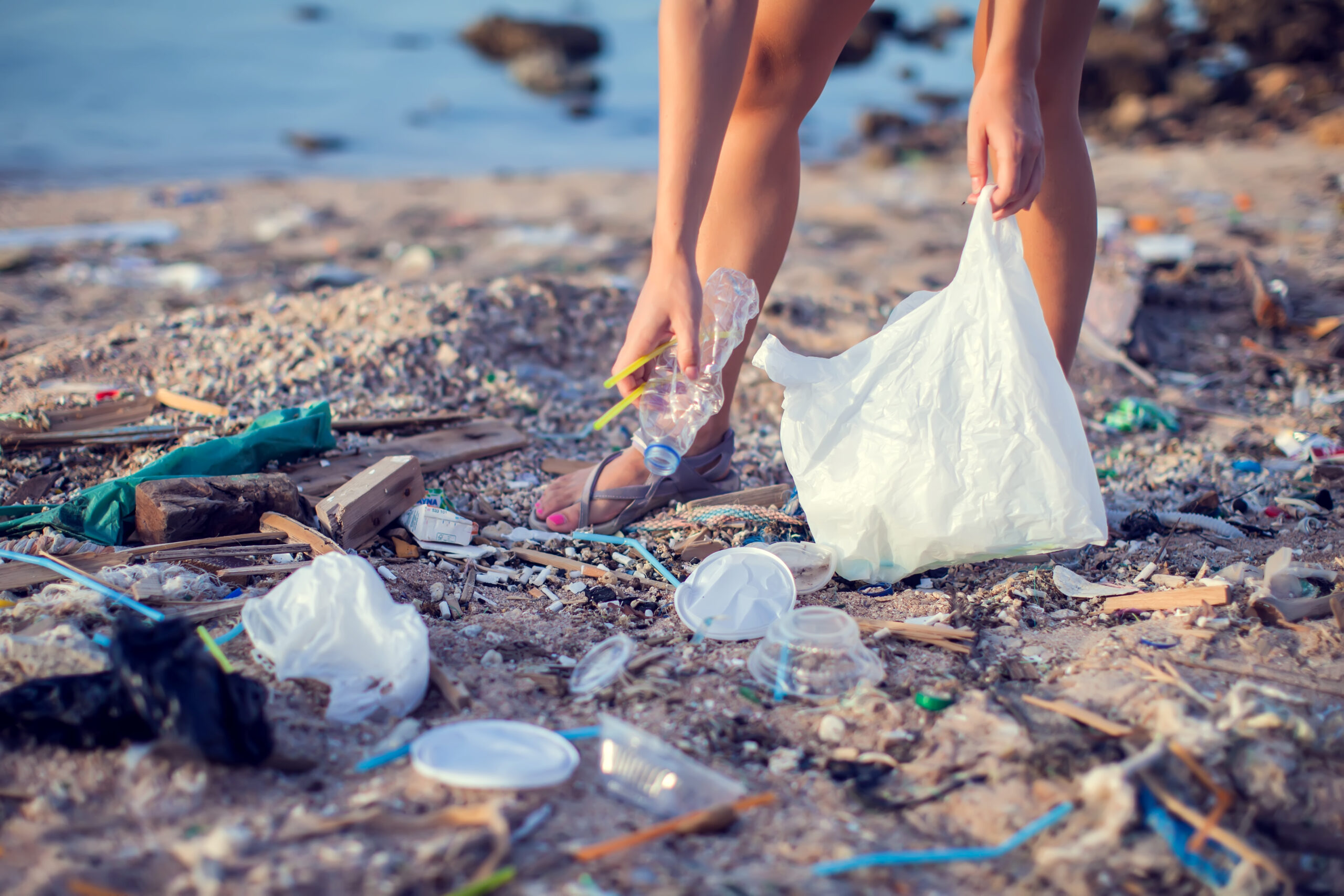 picking up beach litter