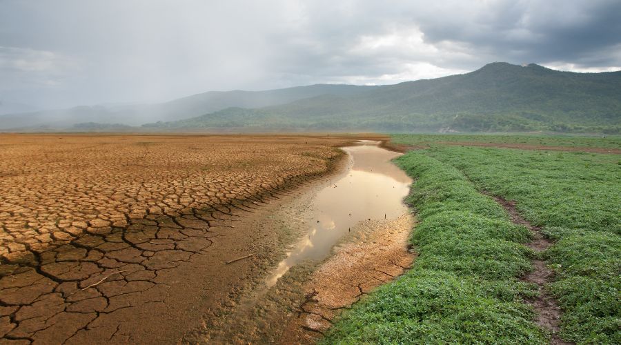 Tech solutions to solving climate change 