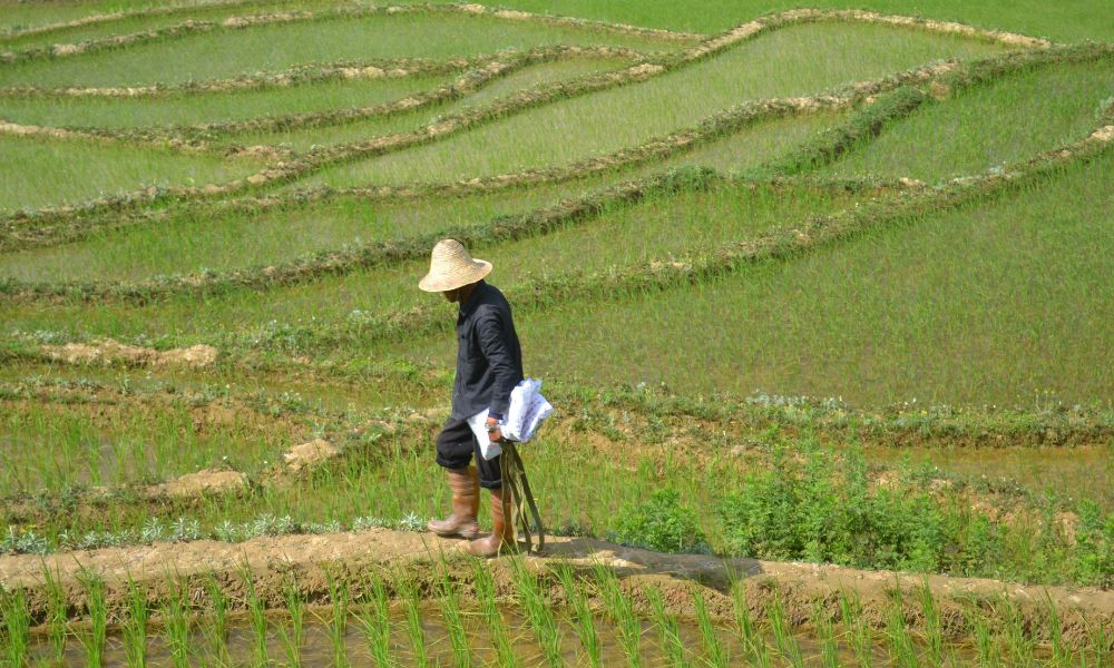 technology impacting the health of a remote Chinese citizen 